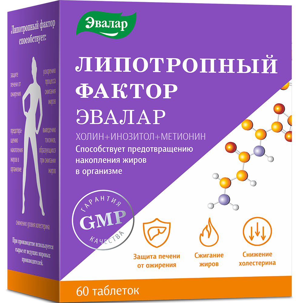 ЛИПОТРОПНЫЙ ФАКТОР таб. 1.2г N60 - Добрая аптека