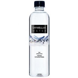 Вода горная питьевая Shymbulak 0.5ml - Добрая аптека